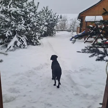 Chalet Pieninskie Herbarium Dobre Samopoczucie, Wellness, Mini Zoo, Poczujesz Folklor Pienin Grywald