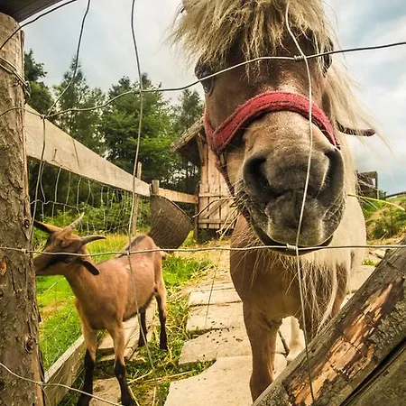 Chalet Pieninskie Herbarium Dobre Samopoczucie, Wellness, Mini Zoo, Poczujesz Folklor Pienin